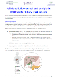 English Brochure