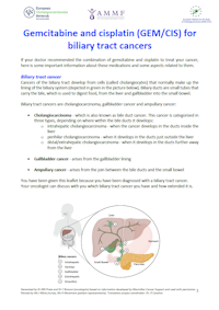 English Brochure