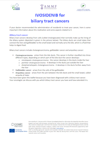 English Brochure