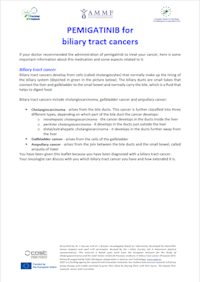 English Brochure